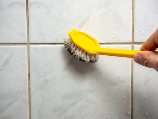 Best Fast Mold Removal  in Bellmawr, NJ