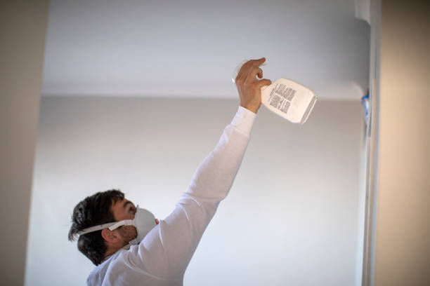 Best Certified Mold Removal  in Bellmawr, NJ