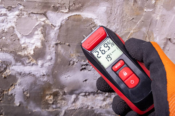 Best Residential Mold Removal  in Bellmawr, NJ