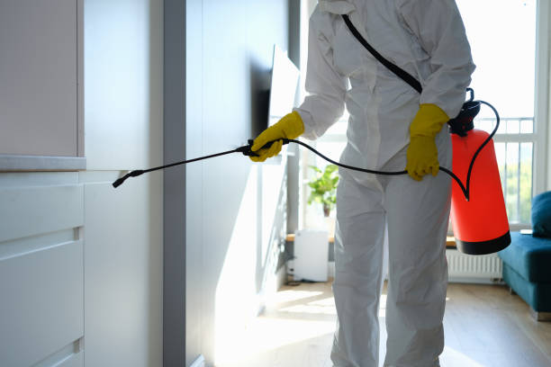 Best Mold Cleaning Services  in Bellmawr, NJ