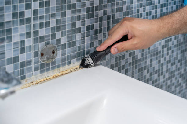 Best Mold Removal Near Me  in Bellmawr, NJ